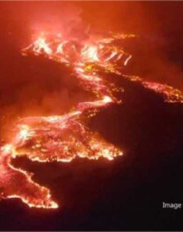 Order of Cistercians of the Strict Observance