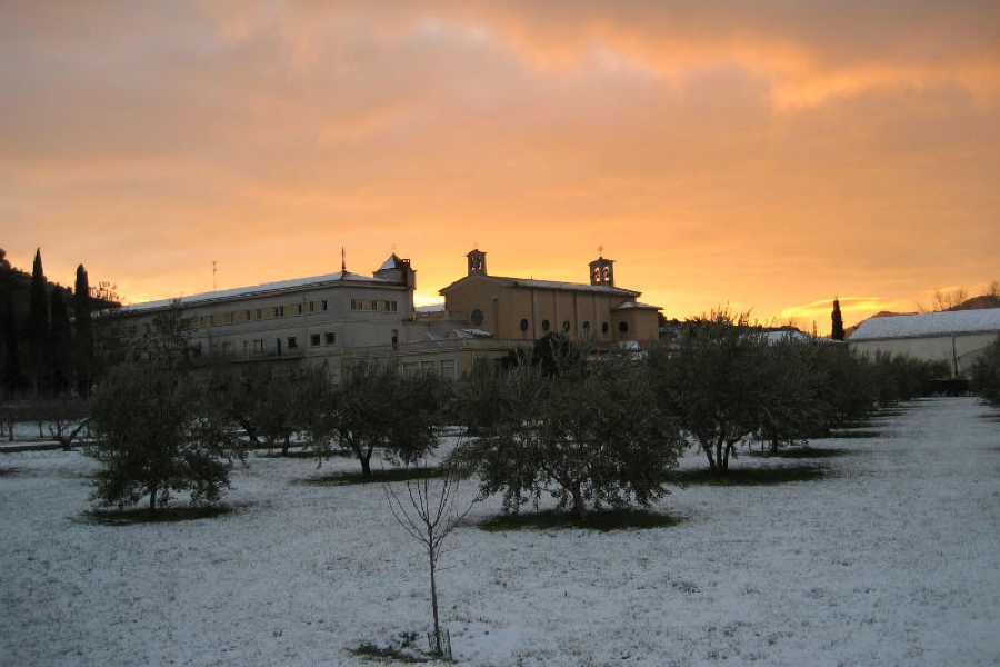 Order of Cistercians of the Strict Observance
