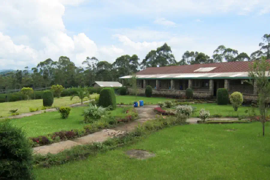 Bamenda