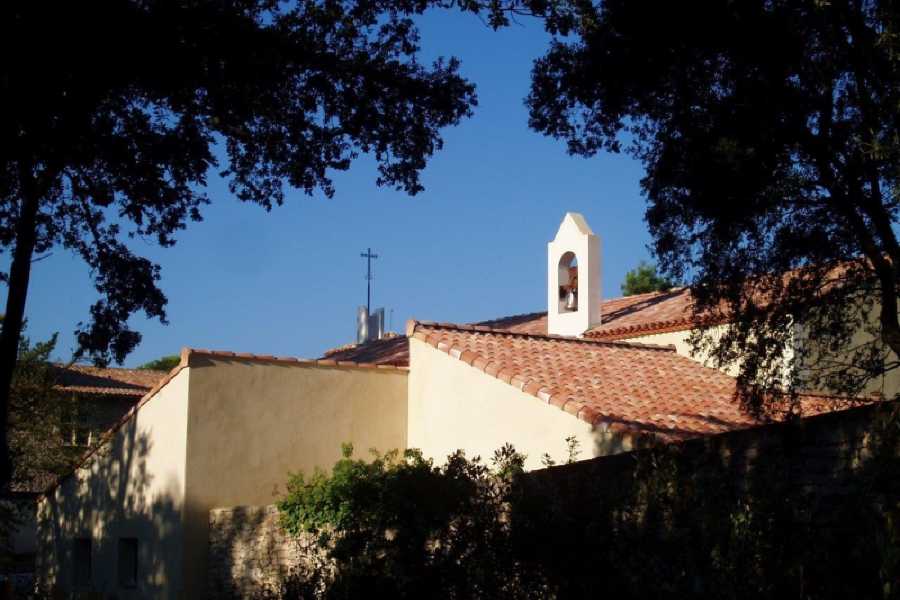 Order of Cistercians of the Strict Observance