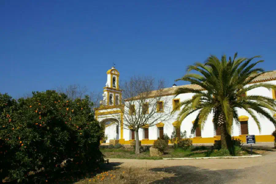 Escalonias