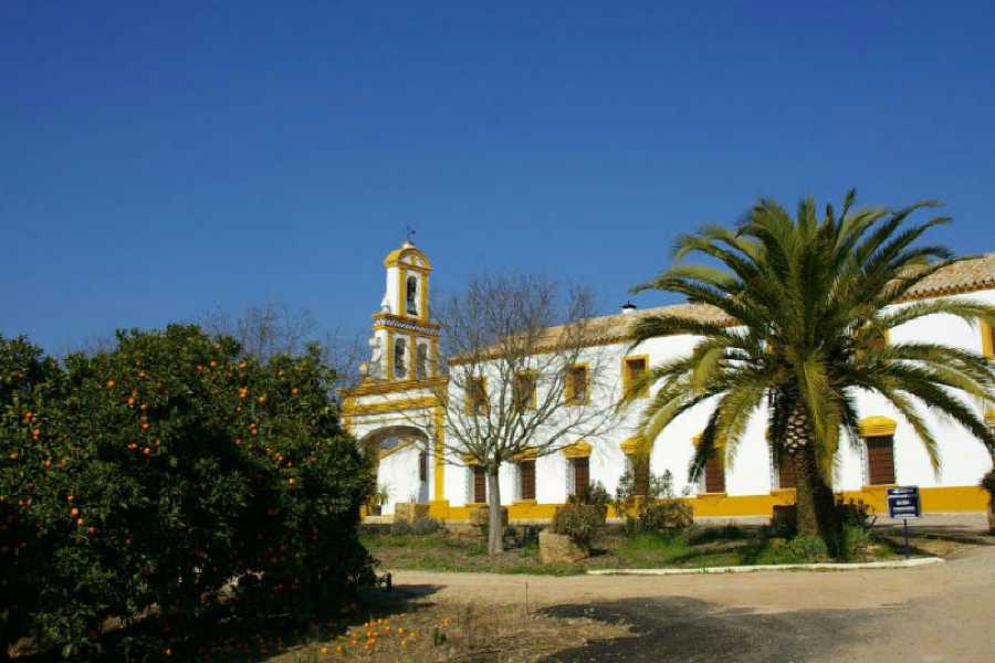 Order of Cistercians of the Strict Observance