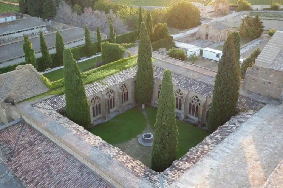 La Oliva