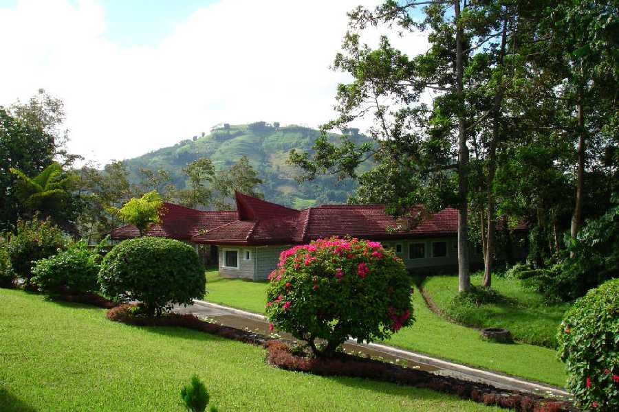 Order of Cistercians of the Strict Observance