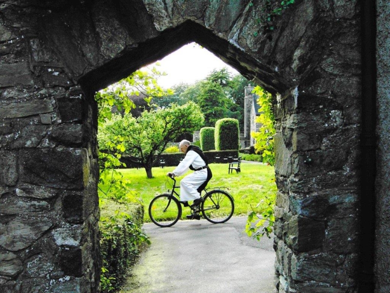 Mount Saint Bernard9