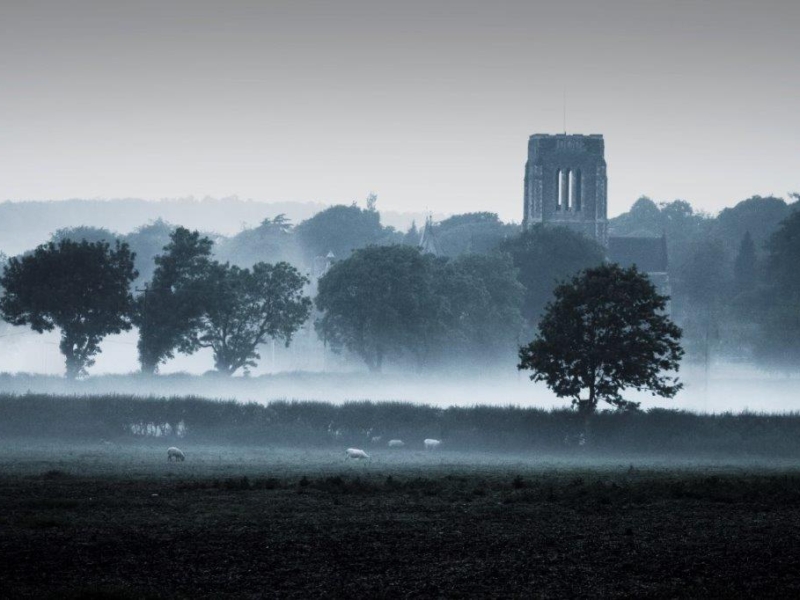 Mount Saint Bernard12