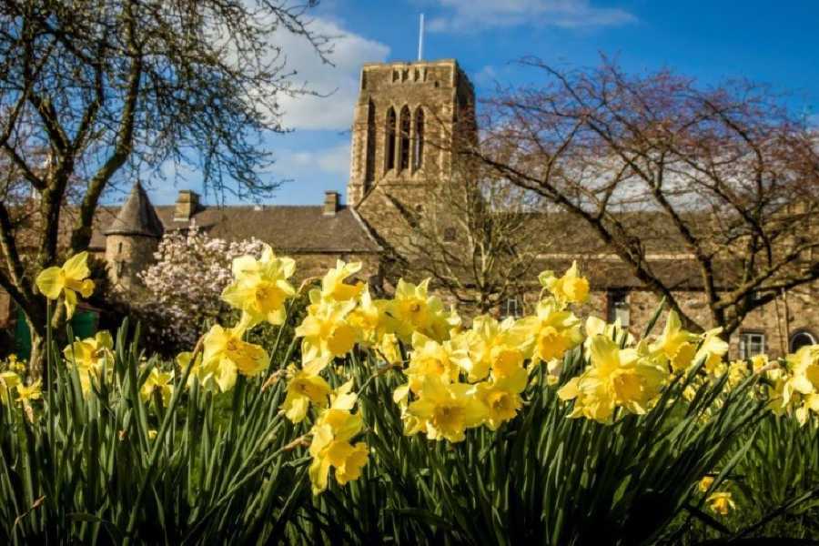 Order of Cistercians of the Strict Observance