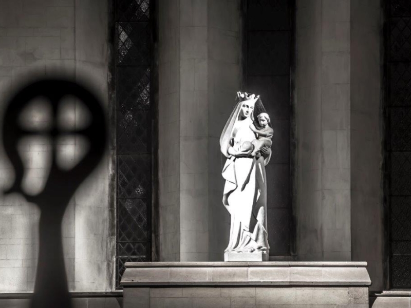 Mount Saint Bernard6