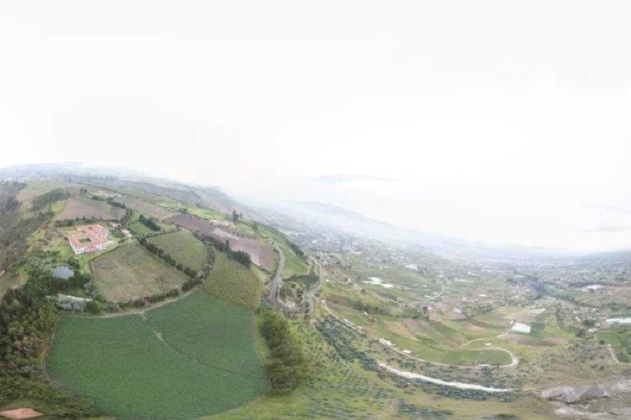 Order of Cistercians of the Strict Observance