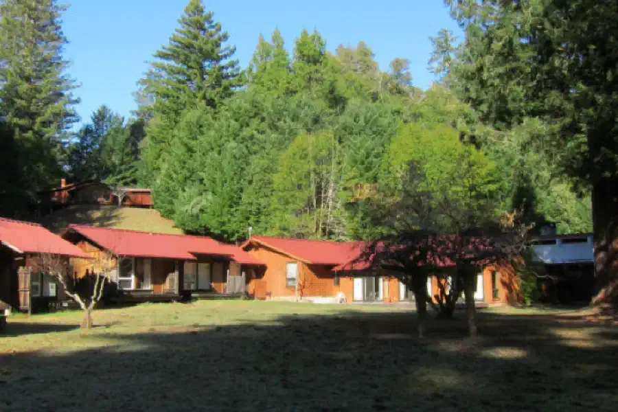 Redwoods