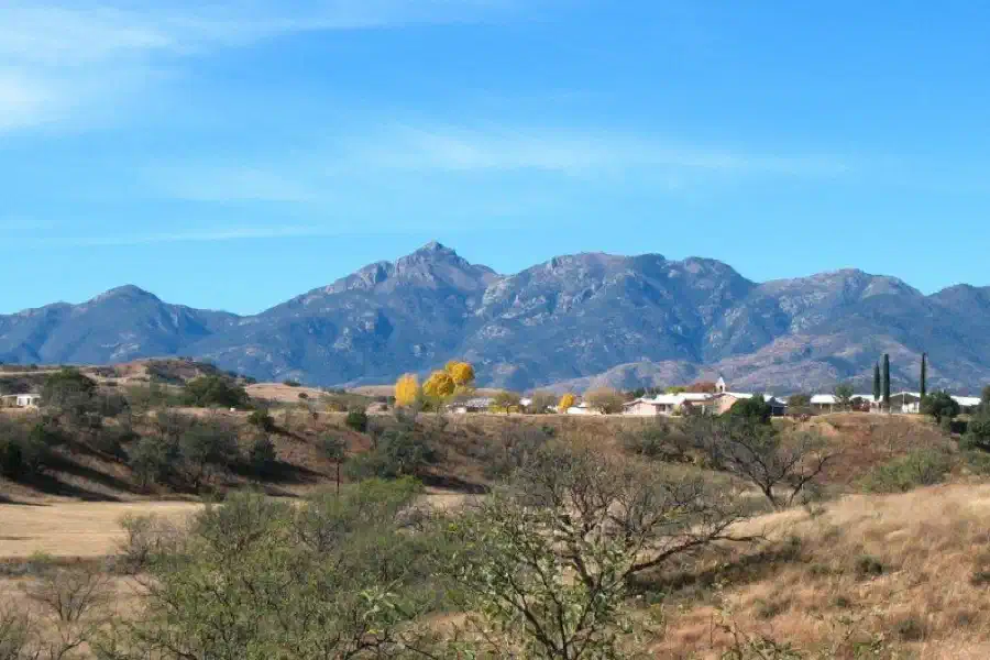 Santa Rita