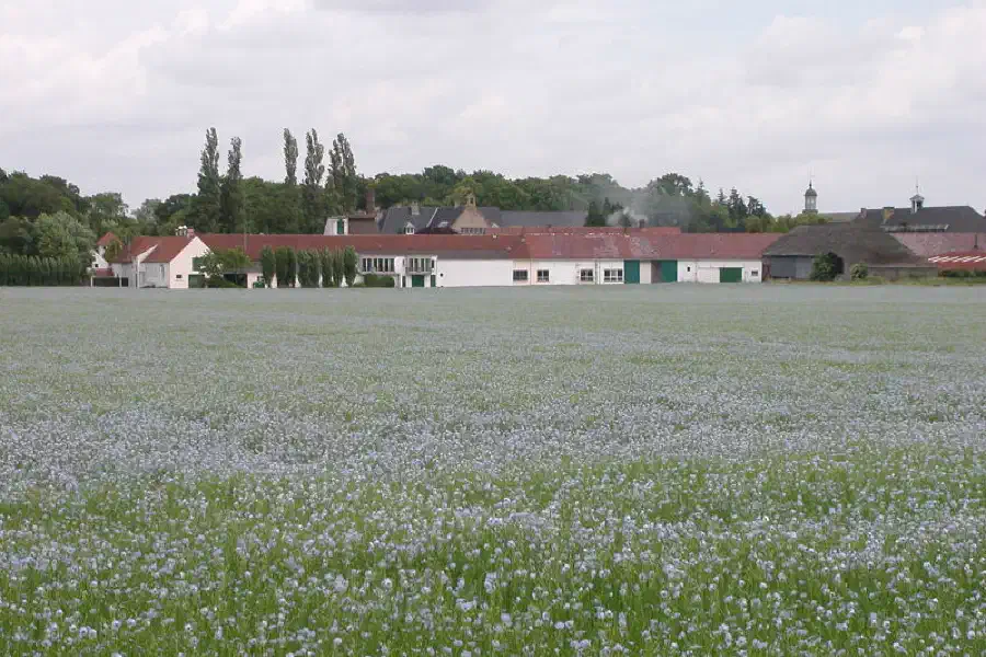 St Sixte