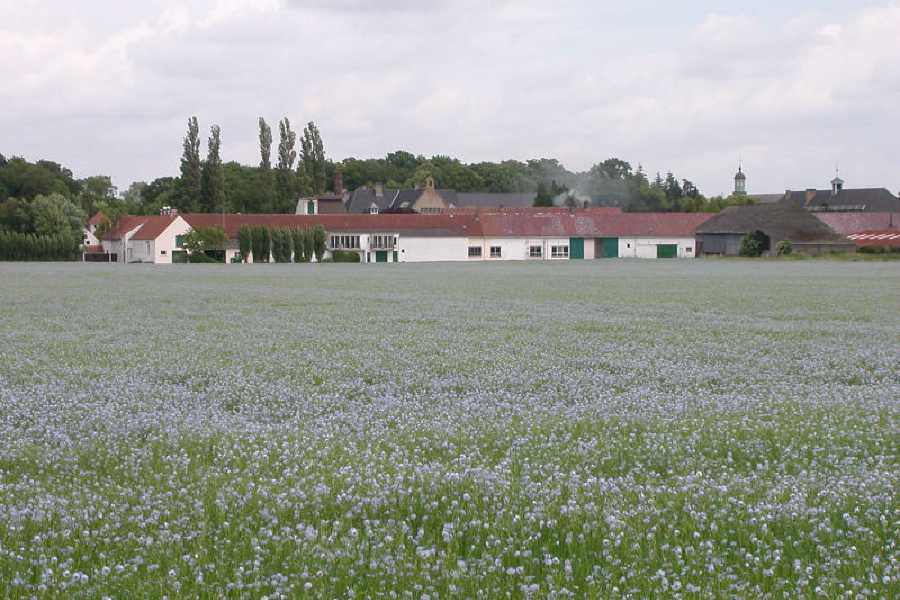 Order of Cistercians of the Strict Observance