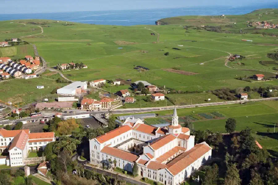 Viaceli