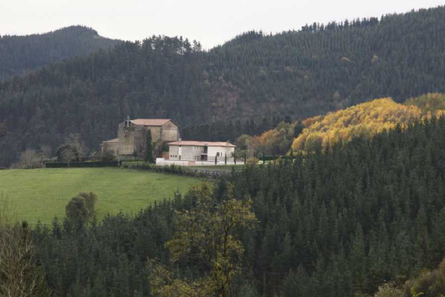 Order of Cistercians of the Strict Observance