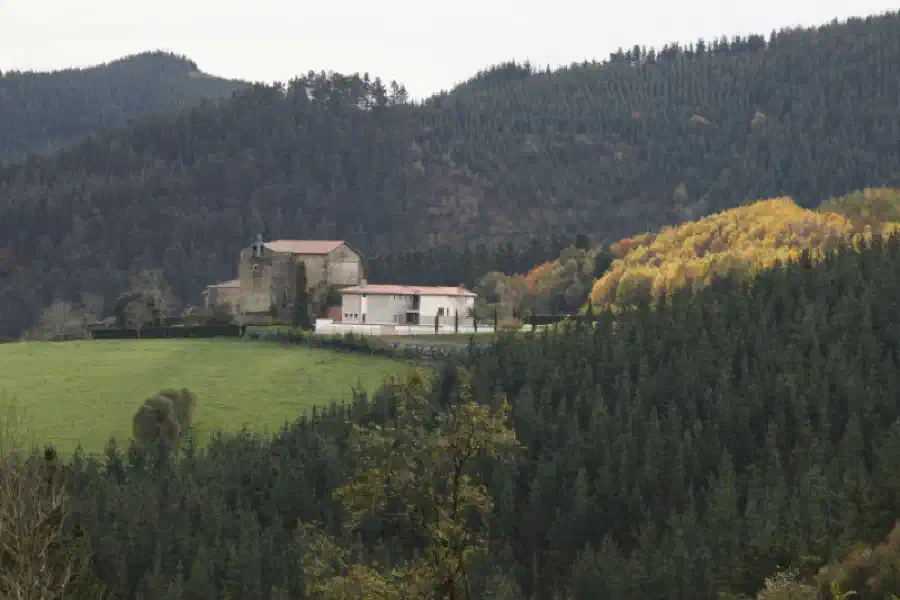 Zenarruza