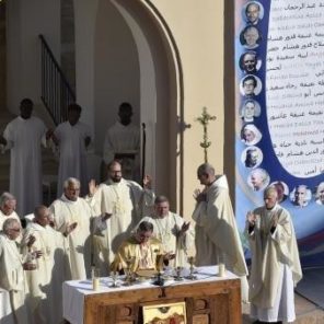 Beatification (14)