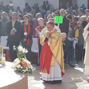 Beatification (5)